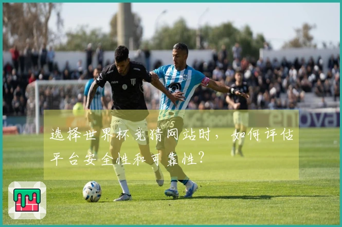 选择世界杯竞猜网站时，如何评估平台安全性和可靠性？